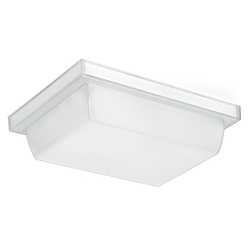 RAB Lighting VAN1LED12W Canopy Lighting, 13 W Fixture, 120/208/240/277 V AC, White Housing