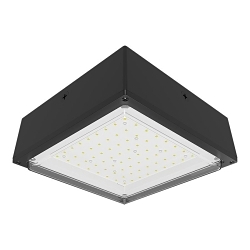 RAB Lighting VANLED40Y Vandalproof Canopy Lighting, 38 W Fixture, 120/208/240/277 V AC, Bronze/Polyester Powder Coated Housing
