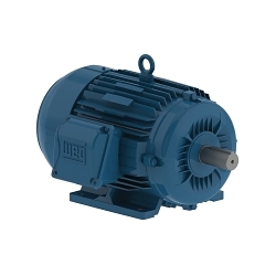 WEG 01018ET3E215T-W22 AC Motor, TEFC Enclosure, 10 hp, 208 to 230/460/380 V AC, 60 Hz, 3 Phase, 213/5T Frame, 1800 rpm Speed, Footed Mount