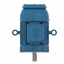 WEG 01018ET3ER215TC-W22 AC Motor, TEFC Enclosure, 10 hp, 208/230/460 V AC, 60 Hz, 215TC Frame, 1800 rpm Speed