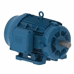 WEG 02518ET3E284T-W22 AC Motor, TEFC Enclosure, 25 hp, 208/230/460 VAC, 60 Hz, 3 Phase, 284/6T Frame, 1800 rpm Speed, Footed Mount