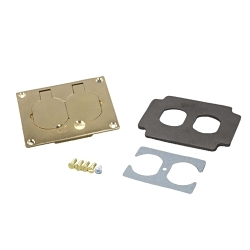 Wiremold® Omnibox™ 828R 2-Outlet Assembled Faceplate, 4-3/16 in L x 3-1/8 in W, 1 Gangs, Brass