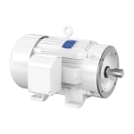 Electric Motor Shop | Baldor-Reliance CEWDM4109T Washdown Duty Motor ...