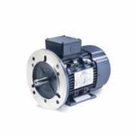 LEESON® 193340.60 193000 High Efficiency Rigid Base IEC Metric Motor, TEFC Enclosure, 4 hp, 5-1/2 hp, 230/460 VAC, 50/60 Hz, 112M Frame, 1750 rpm Speed