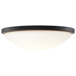 NUVO® by SATCO 62-1944 Traditional Decorative Light, (1) Lamp, 25 W Fixture, 120 V, Matte Black Housing