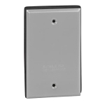 Red Dot® CCB Blank Weatherproof Receptacle Cover, 4-9/16 in L x 2-13/16 in W, Steel