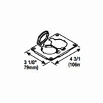 Wiremold® Omnibox™ 828R 2-Outlet Assembled Faceplate, 4-3/16 in L x 3-1/8 in W, 1 Gangs, Brass